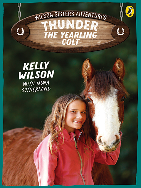 Thunder, The Yearling Colt